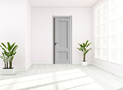 project door