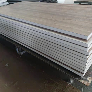 Sandwich Panel Door
